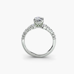 The Celestial Cluster Ring